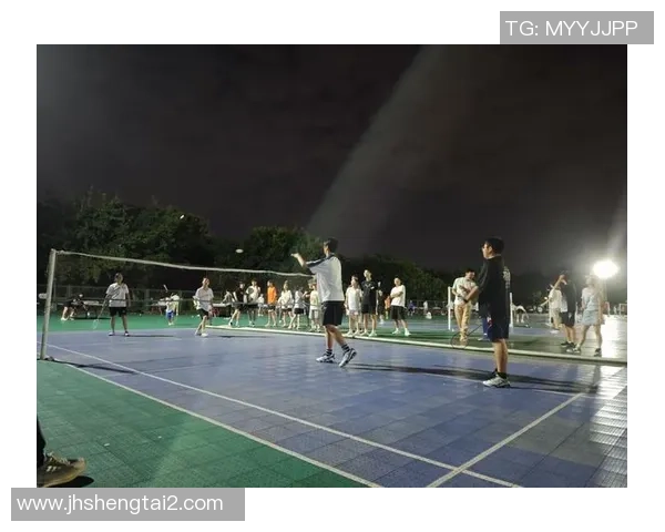 南京羽毛球队状态分析与未来展望聚焦羽毛球竞技的热情与挑战